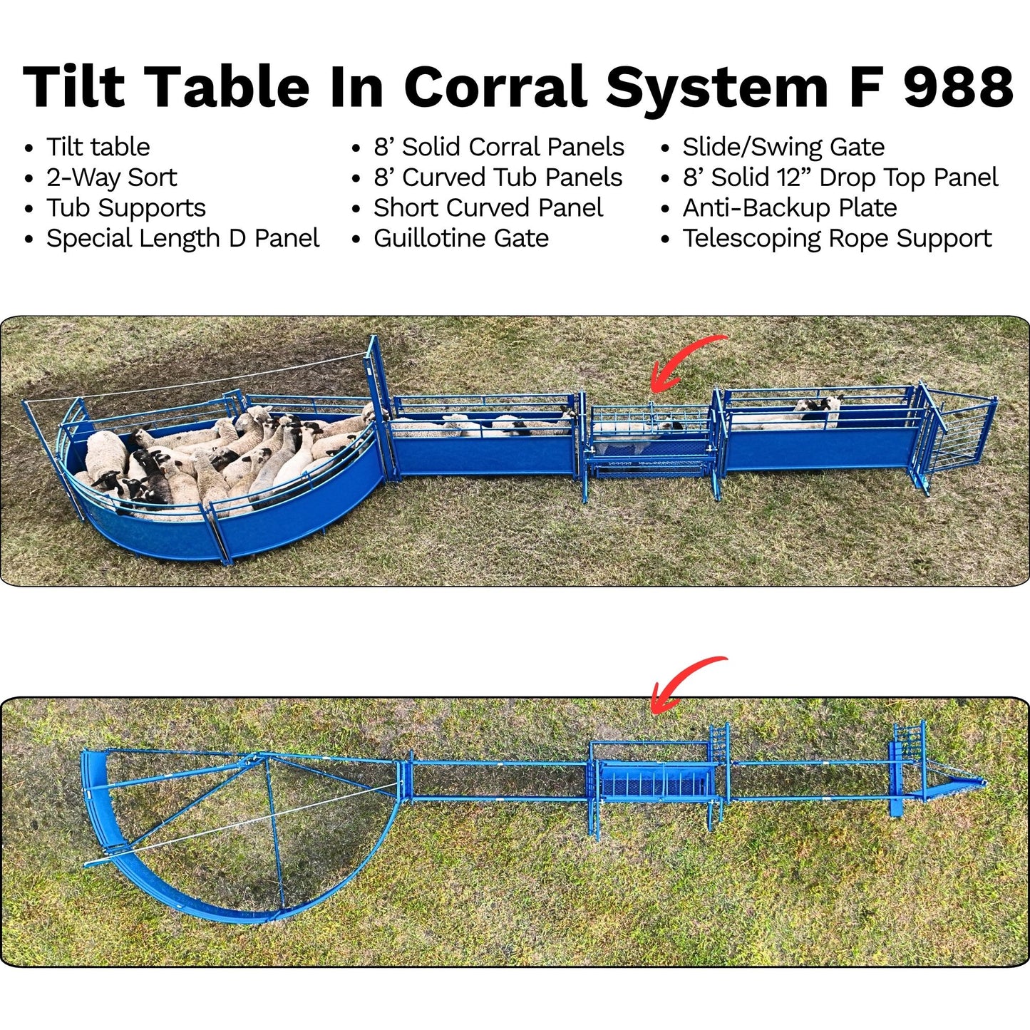 Tilt Table for Sheep & Goats Hoof Trimming | Sydell #0930