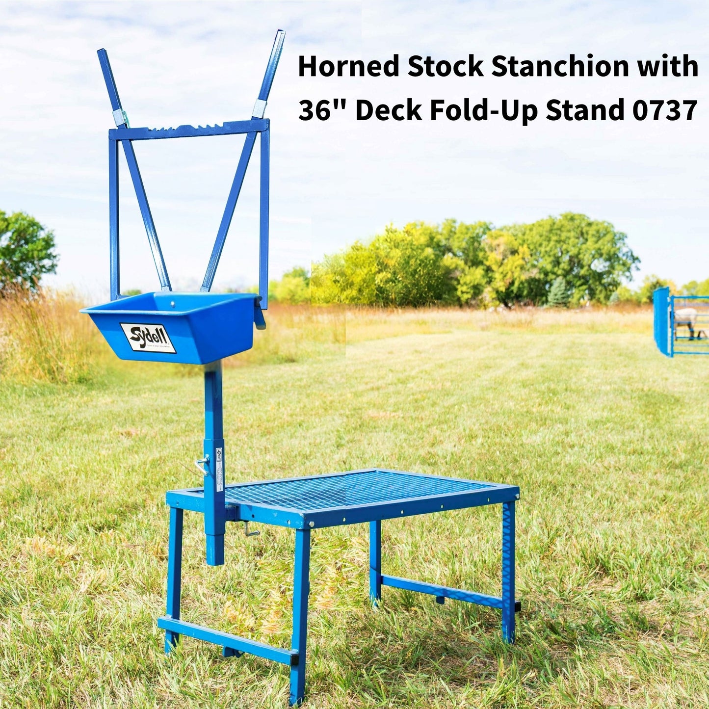 Horned Stock Stanchion with a 48"or 36" Fold-Up Stand 0737 for Sheep & Goats | Sydell #0737 / #0737-36