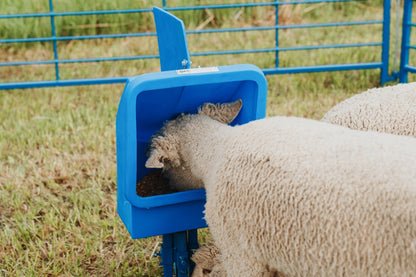 Sydell 25 lb Salt & Mineral Feeder with Round Base – Sheep, Goat & Small Livestock Mineral Feeder | Item #0801-4 installed in barn layout for effici