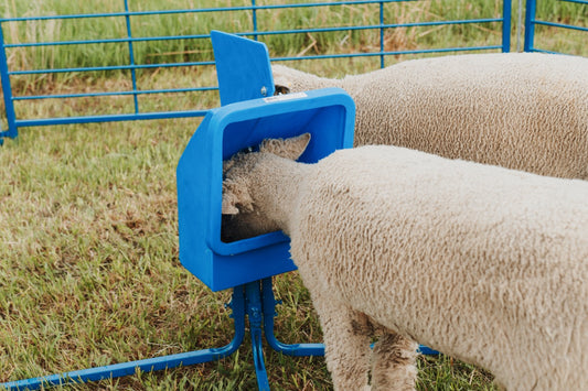 Sydell 25 lb Salt & Mineral Feeder with 4-Leg Base – Sheep, Goat & Small Livestock Mineral Feeder | Item #0804 installed in barn layout for efficien