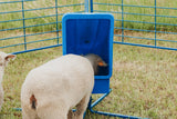 Sydell goat and sheep mineral feeder with a 50 lb tub on four leg base