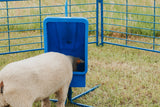 Sydell goat and sheep mineral feeder with a 50 lb tub on a four leg base