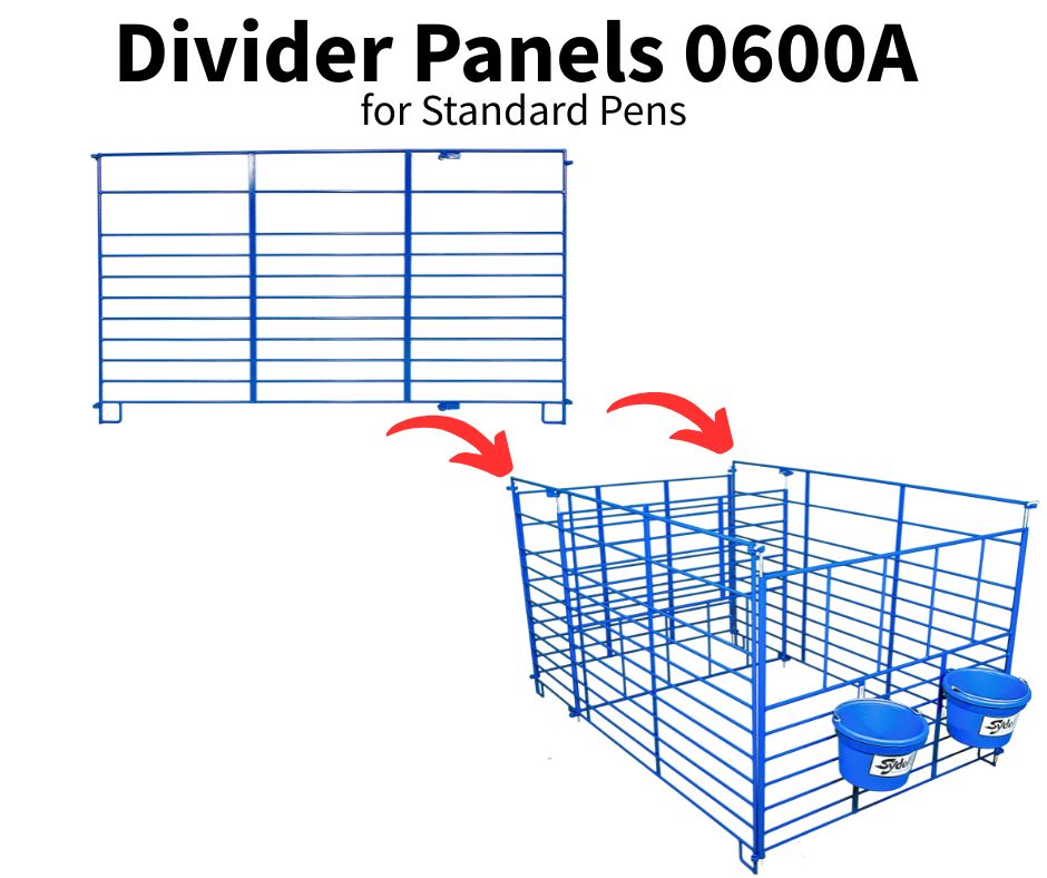 Sheep and goat kidding pen setup designed for safer handling and routine management