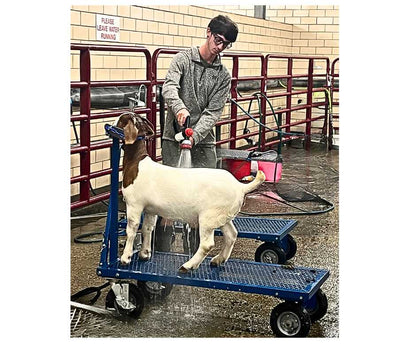 E.Z. Rider Wash Cart for Sheep & Goats | Sydell #0785ERN