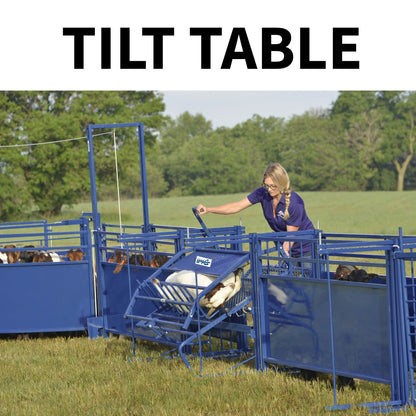 Tilt Table for Sheep & Goats Hoof Trimming | Sydell #0930