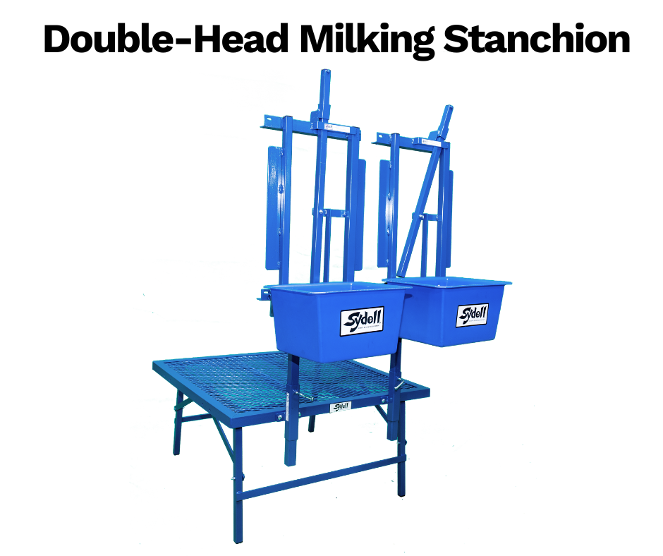 Sheep and Goat Double-Headed Milking Stanchion |Sydell 1052 sheep and goat livestock equipment for livestock handling and animal flow