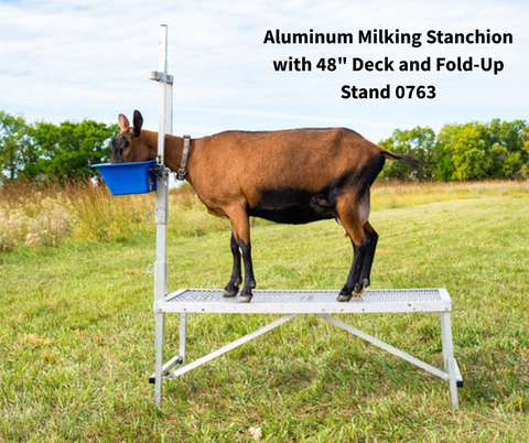 Fold-Up Milking Stanchion with 48" or 36" Deck & Poly Feeder Set 0736