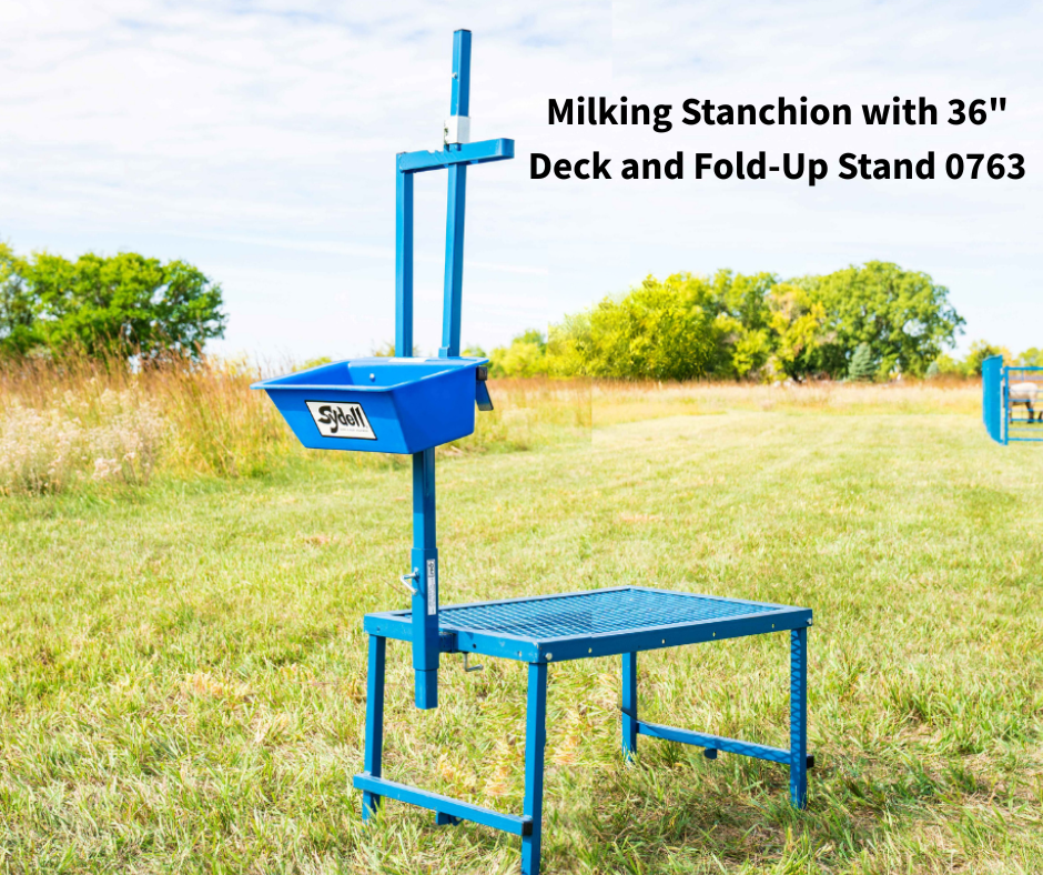 Sheep & Goat Fold-Up Milking Stanchion with 48