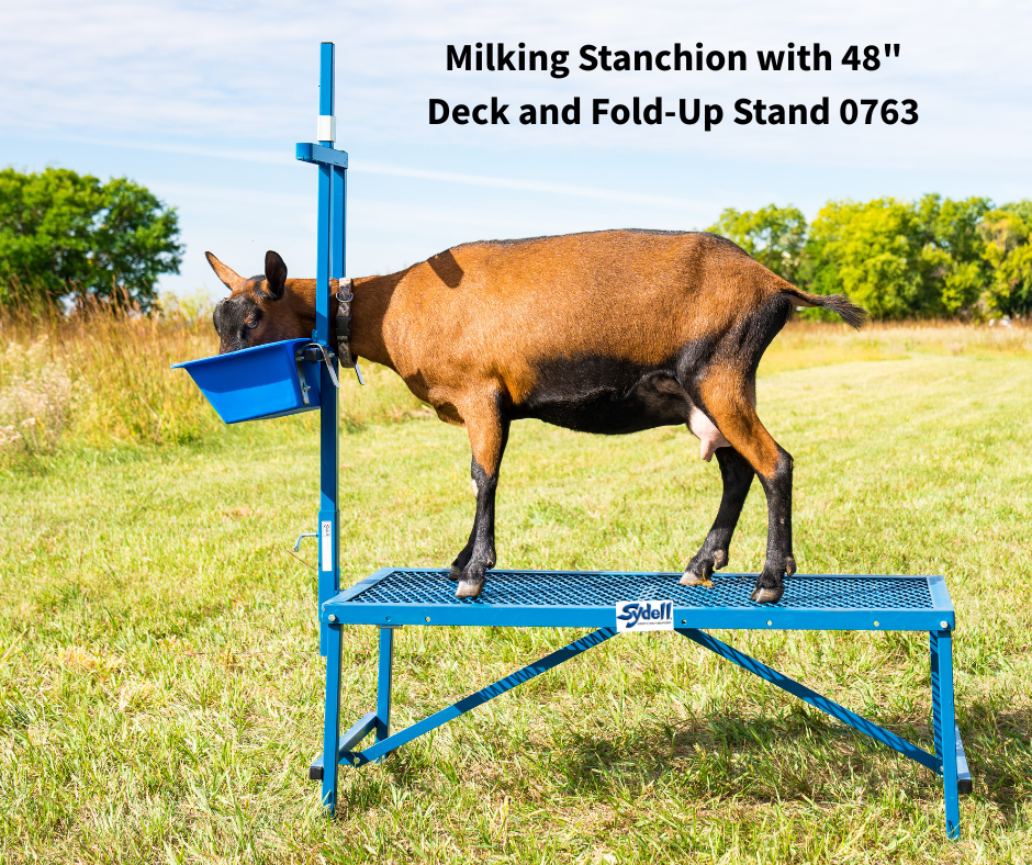 Fold-Up Milking Stanchion with 48" or 36" Deck & Poly Feeder Set 0736