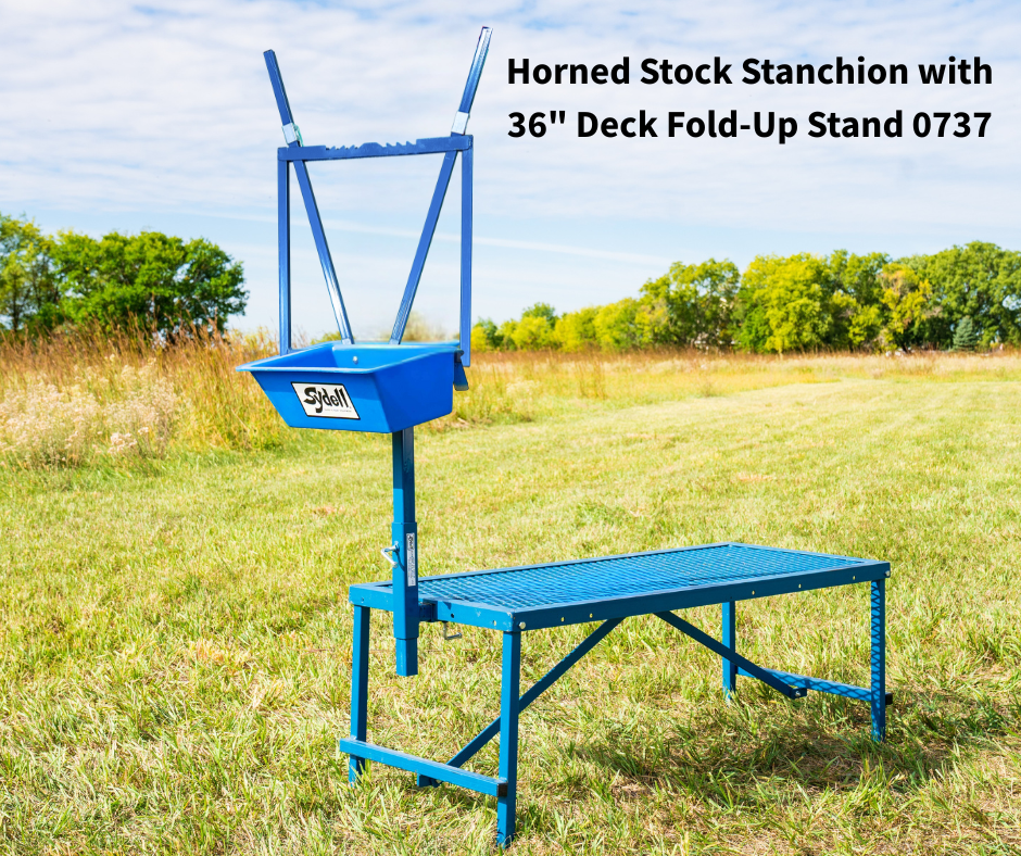 Horned Stock Milking Stanchion  0738