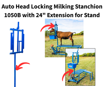 Sheep and goat show stand setup designed for safer handling and routine management