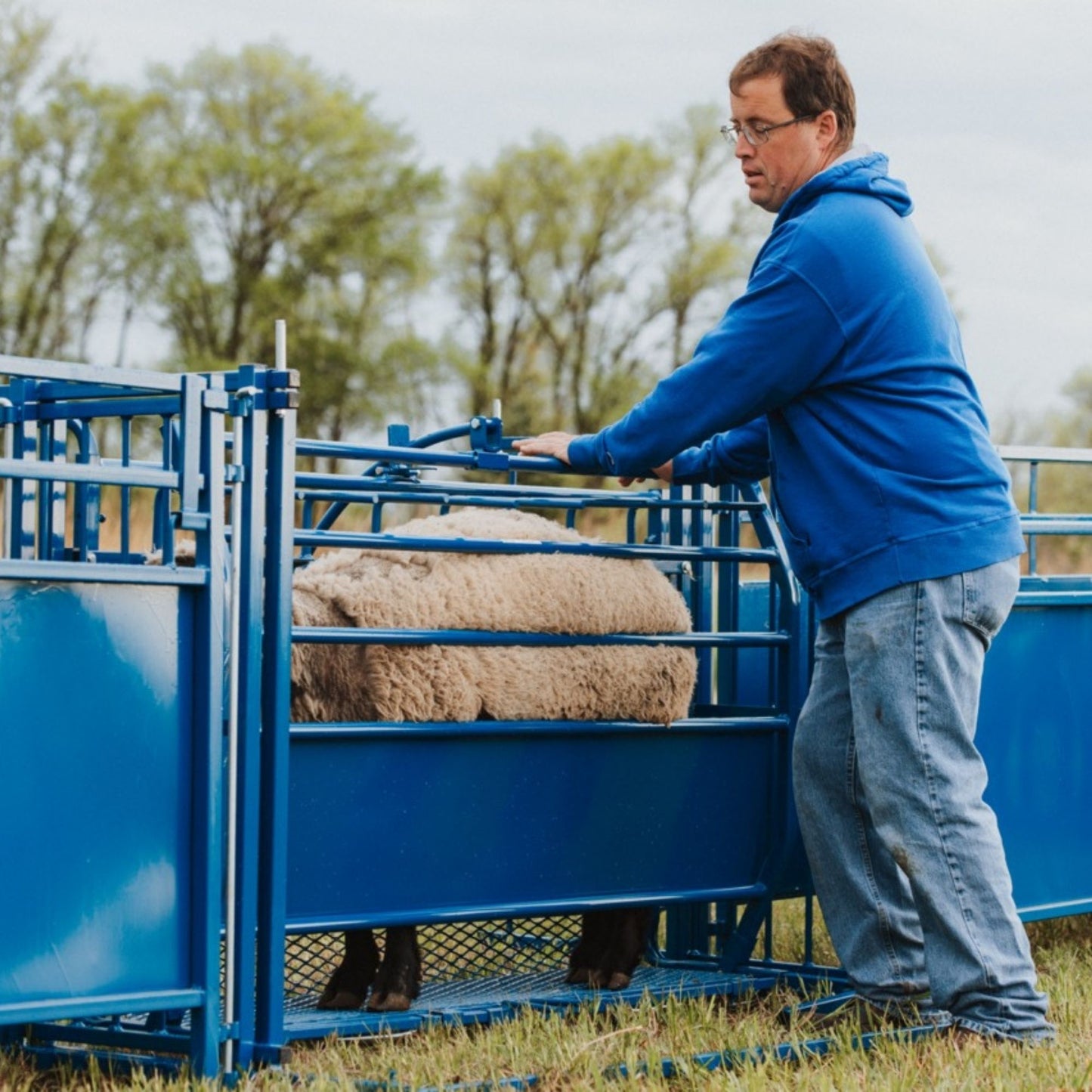 Tilt Table for Sheep & Goats Hoof Trimming | Sydell #0930