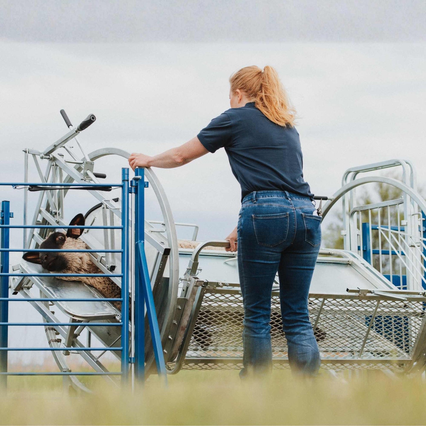 Deluxe Spin Doctor Sheep & Goat Hoof Trimming | Sydell  0938