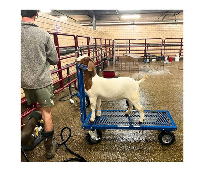 E.Z. Rider Wash Cart for Sheep & Goats | Sydell #0785ERN