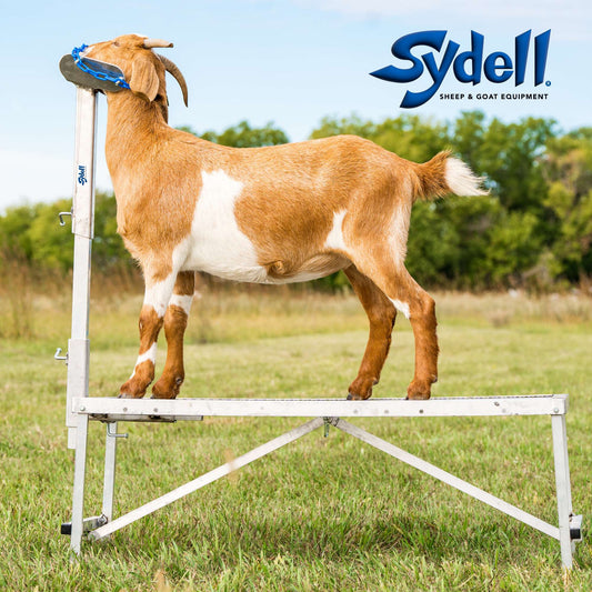 Fold-Up Fitting Stand for Sheep & Goats | Sydell #0705 / #AL0745
