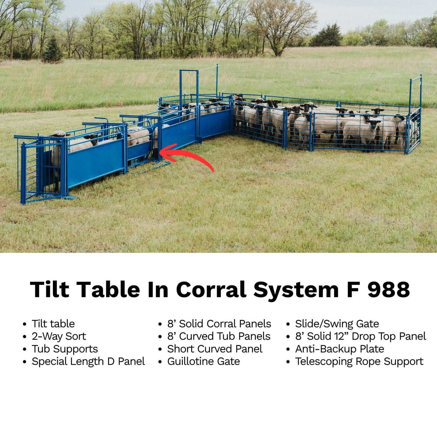 Tilt Table for Sheep & Goats Hoof Trimming | Sydell #0930