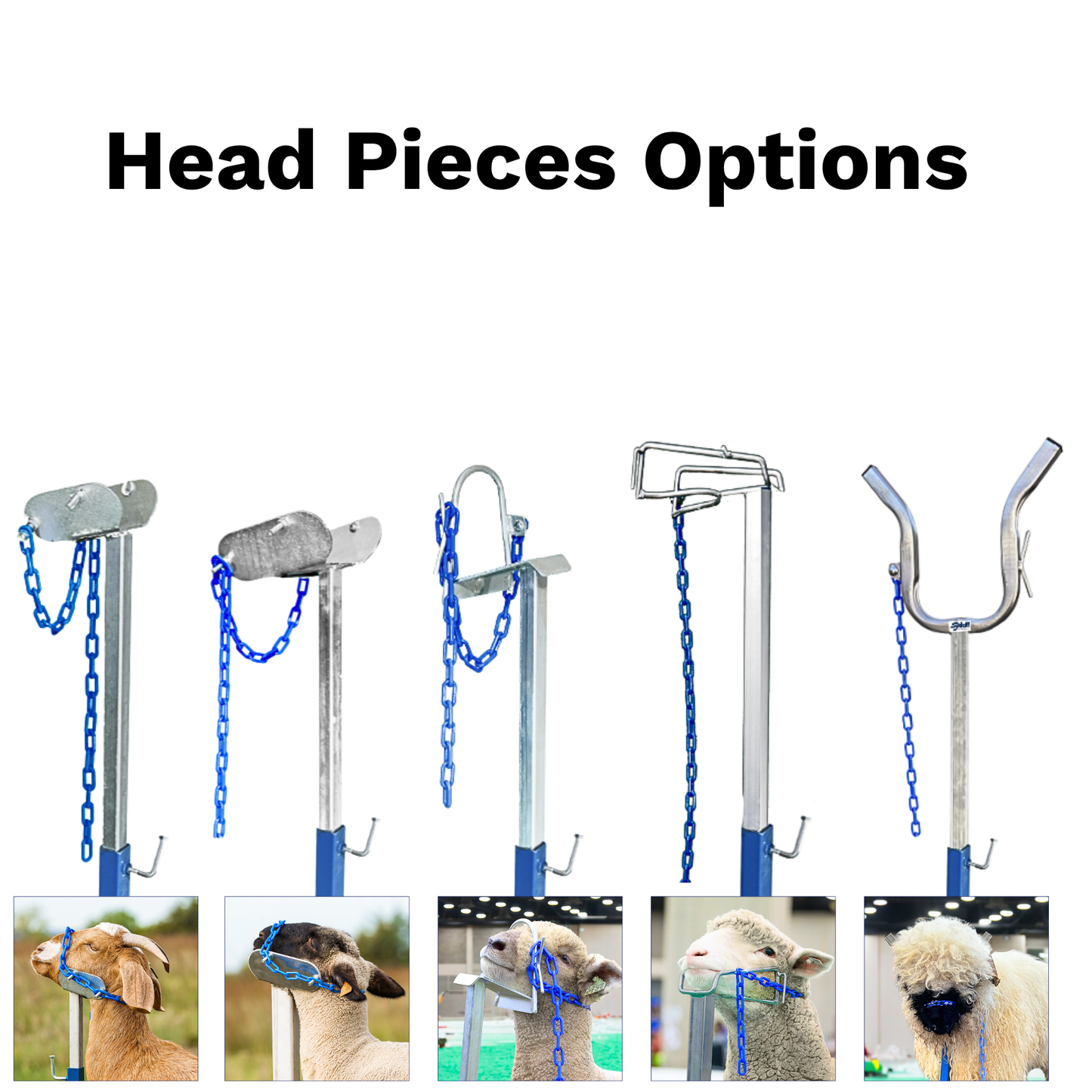 Portable Panel Mount Head Holder for Sheep & Goats | Sydell #0729