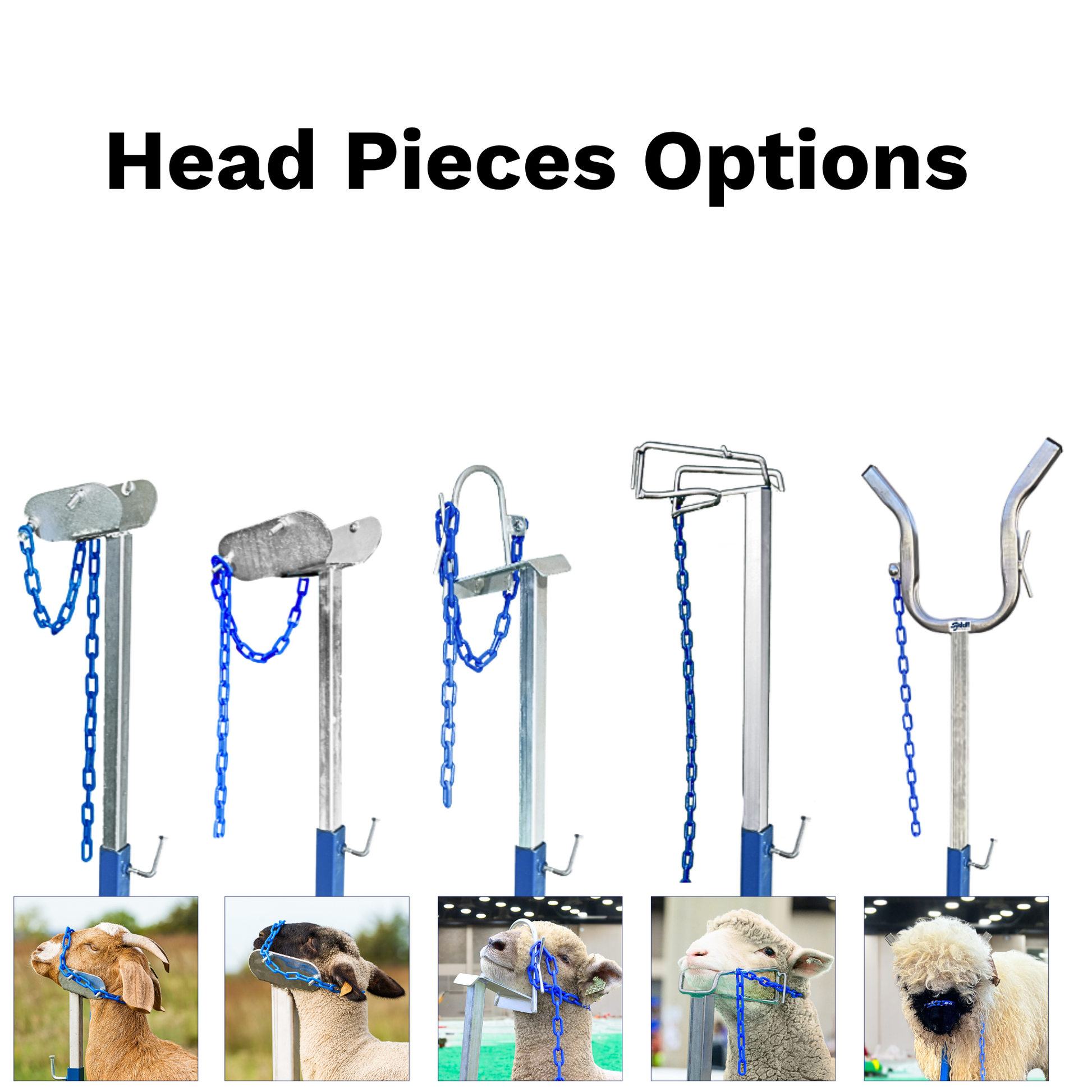 Portable Panel Mount Head Holde | Sheep & Goat Show Equipment