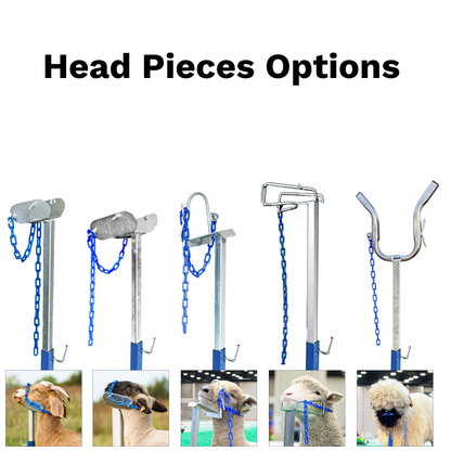 Portable Panel Mount Head Holder for Sheep & Goats | Sydell #0729