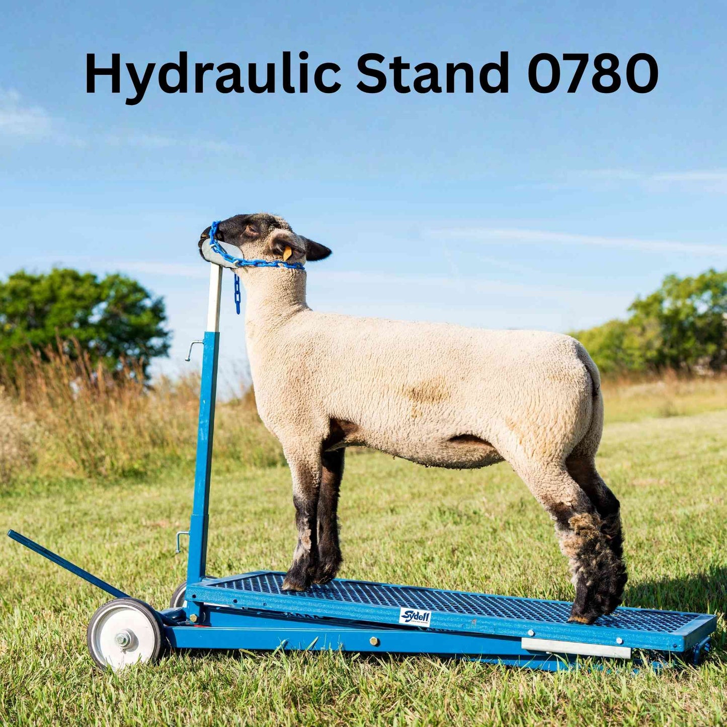 Hydraulic Stand for Sheep & Goats | Sydell #0780