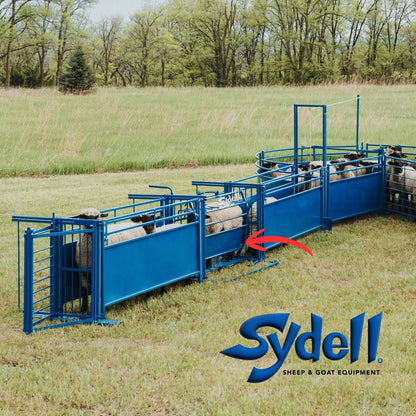 Tilt Table for Sheep & Goats Hoof Trimming | Sydell #0930