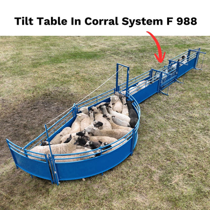 Tilt Table for Sheep & Goats Hoof Trimming | Sydell #0930