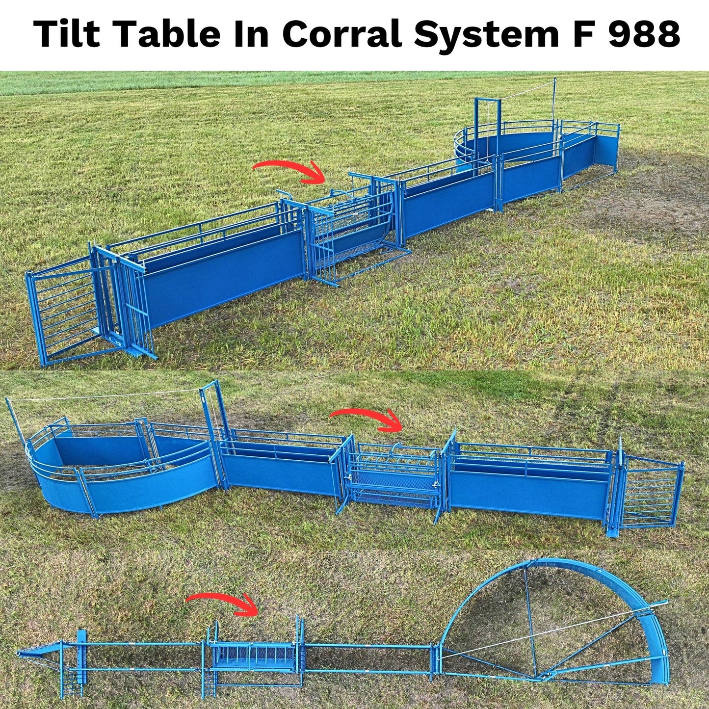 Tilt Table for Sheep & Goats Hoof Trimming | Sydell #0930