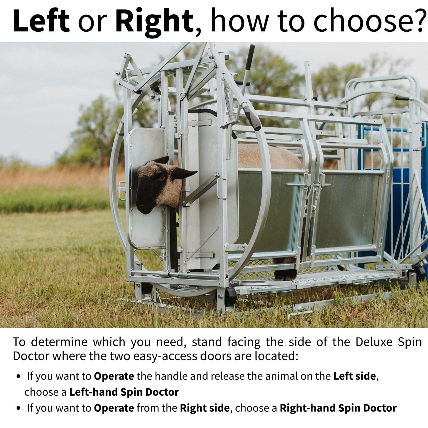 Deluxe Spin Doctor Sheep & Goat Hoof Trimming | Sydell  0938