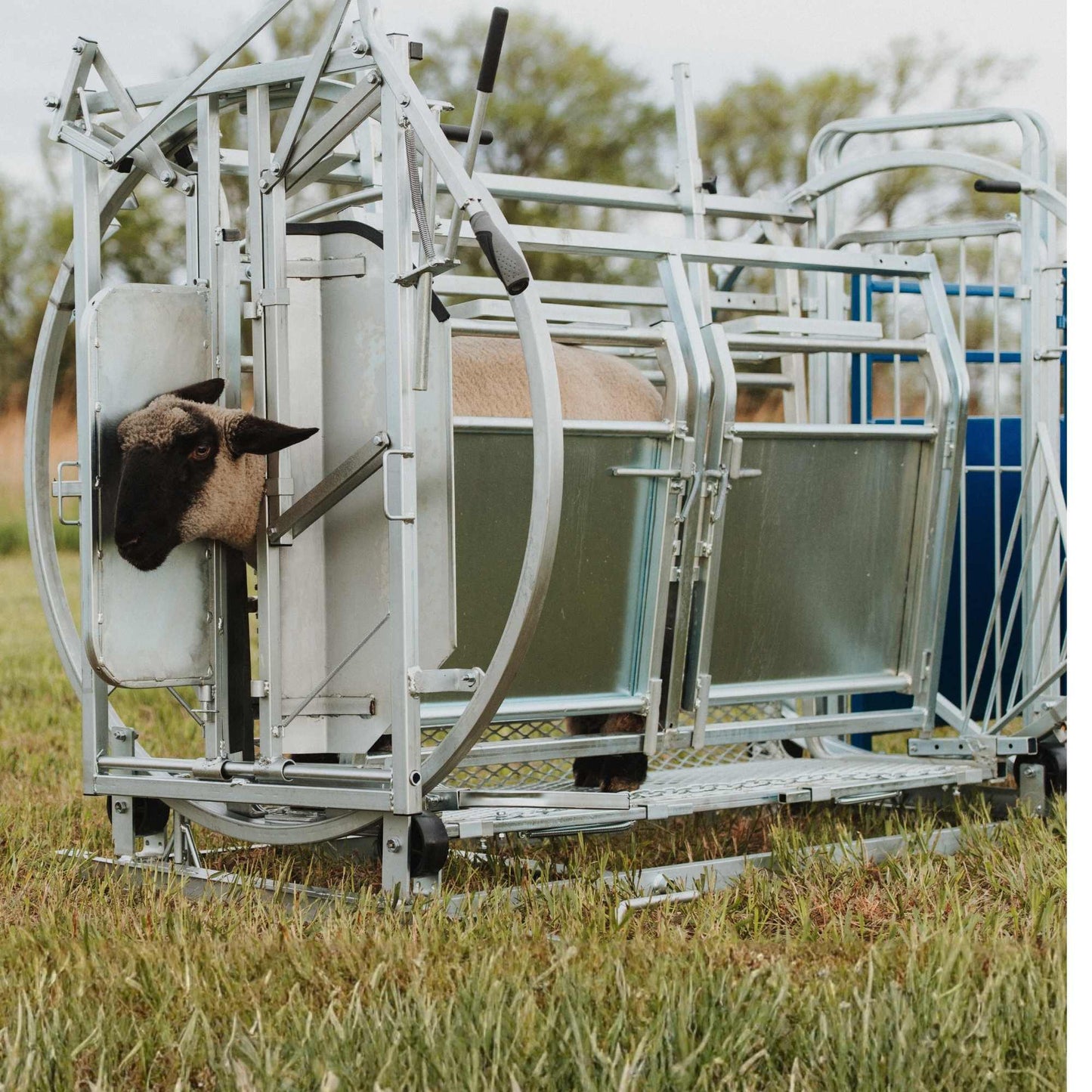 Deluxe Spin Doctor Sheep & Goat Hoof Trimming | Sydell  0938