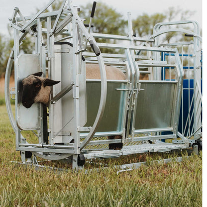 Deluxe Spin Doctor Sheep & Goat Hoof Trimming | Sydell  0938