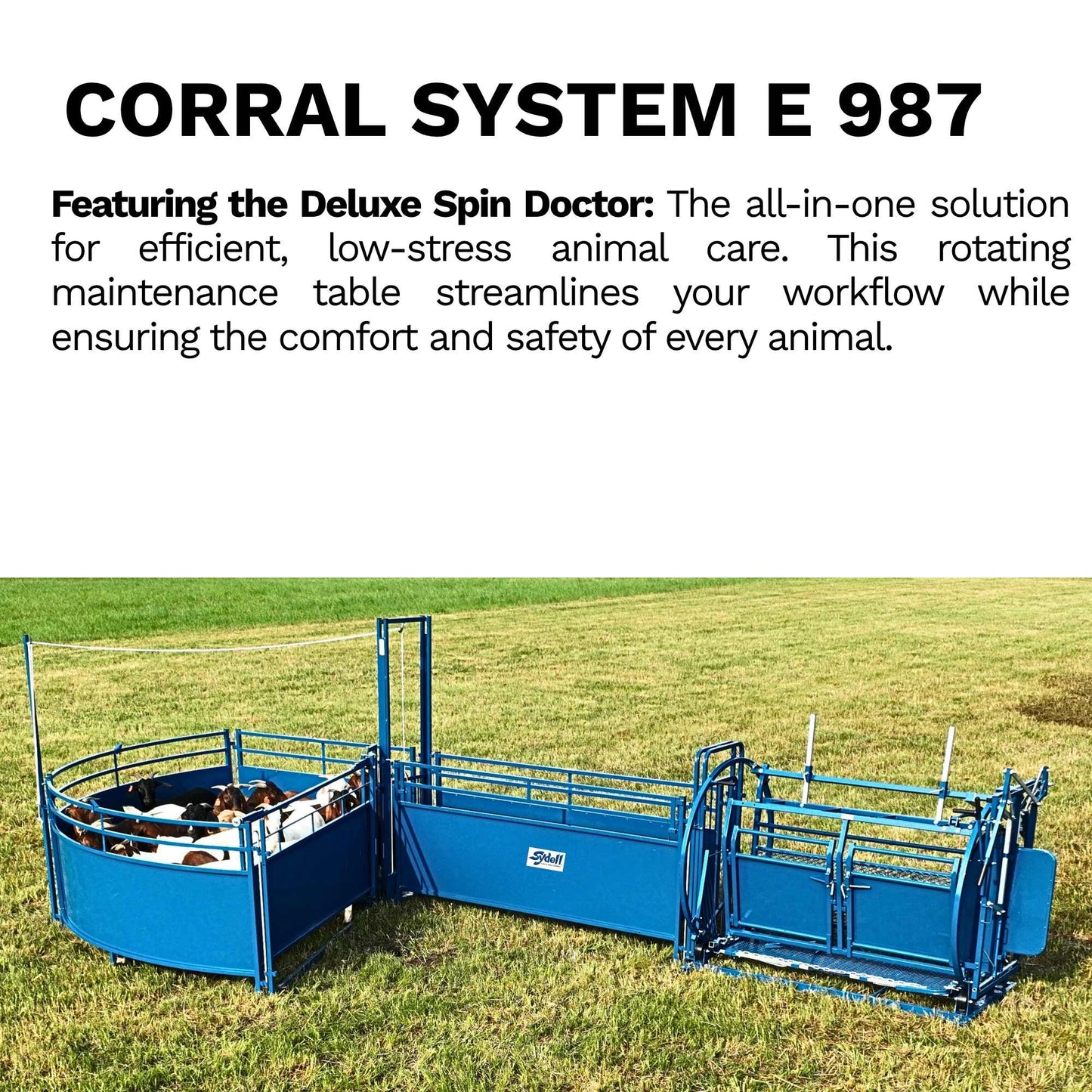 Deluxe Spin Doctor Sheep & Goat Hoof Trimming | Sydell  0938