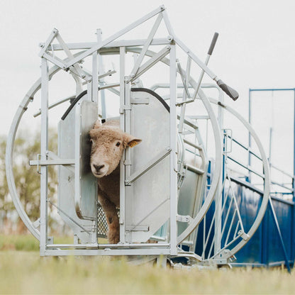 Deluxe Spin Doctor Sheep & Goat Hoof Trimming | Sydell  0938