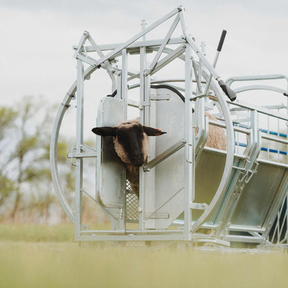 Deluxe Spin Doctor Sheep & Goat Hoof Trimming | Sydell  0938