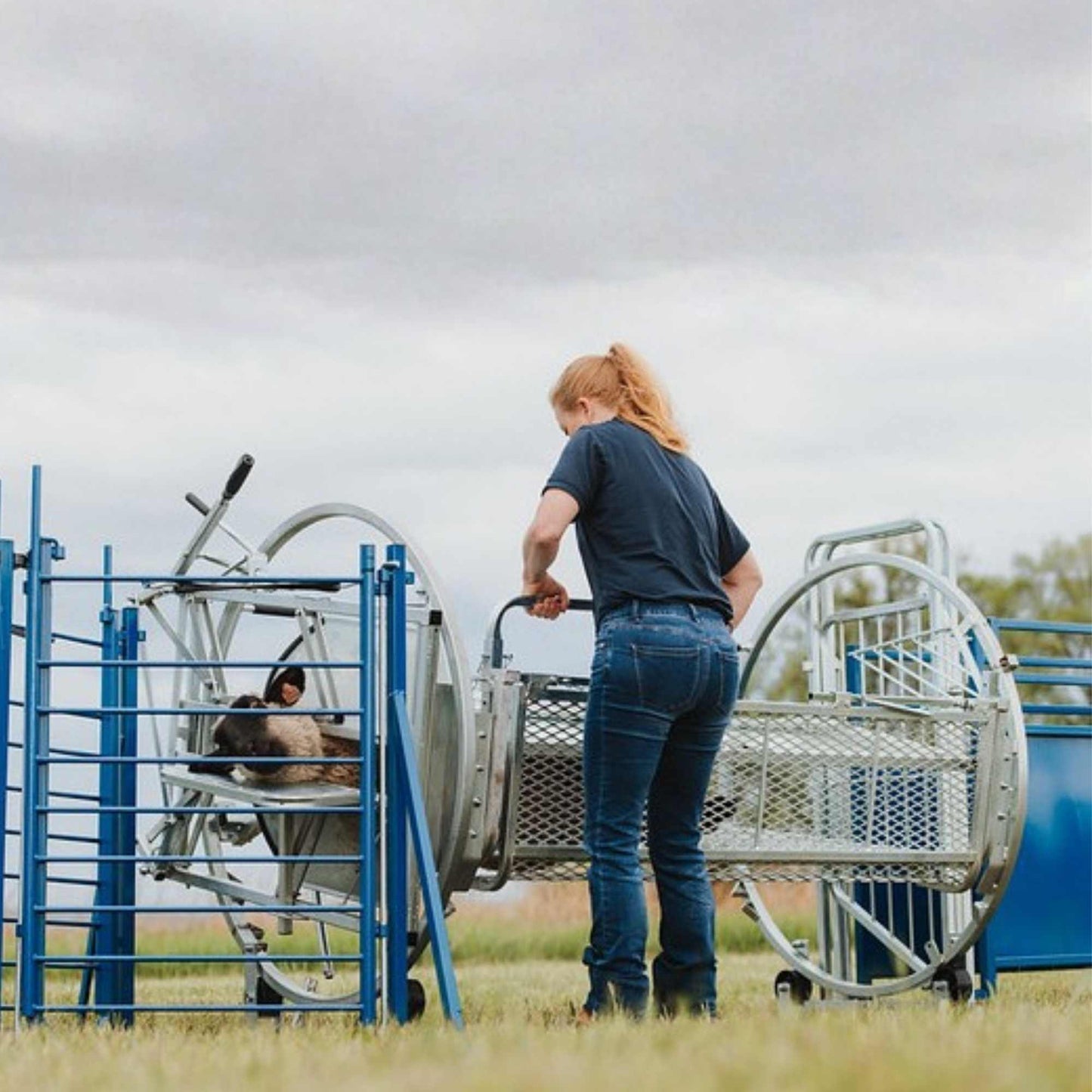 Deluxe Spin Doctor Sheep & Goat Hoof Trimming | Sydell  0938