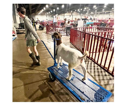 E.Z. Rider Wash Cart for Sheep & Goats | Sydell #0785ERN