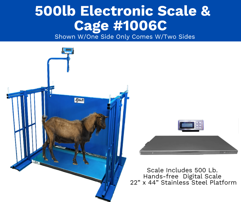 500lb Bluetooth Electronic livestock Scale & Cage 1006C installed in barn layout for efficient sheep and goat handling
