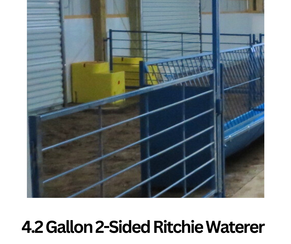 2-Sided Ritchie Waterer (#2016) installed in barn layout for efficient sheep and goat handling