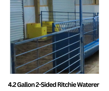 2-Sided Ritchie Waterer (#2016) installed in barn layout for efficient sheep and goat handling