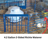Sydell two sided waterer by Ritchie USA for watering goats and sheep small livestock waterer