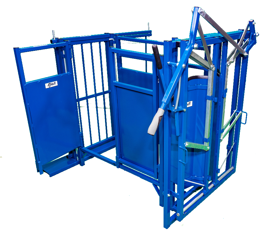 Barn system used for hoof trimming, sorting and controlled livestock movement