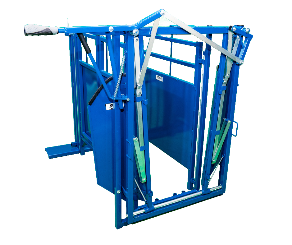 Sheep and goat handling equipment setup designed for safer handling and routine management