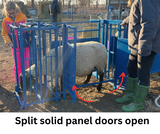 Sydell split door ewe cage goat and sheep equipment