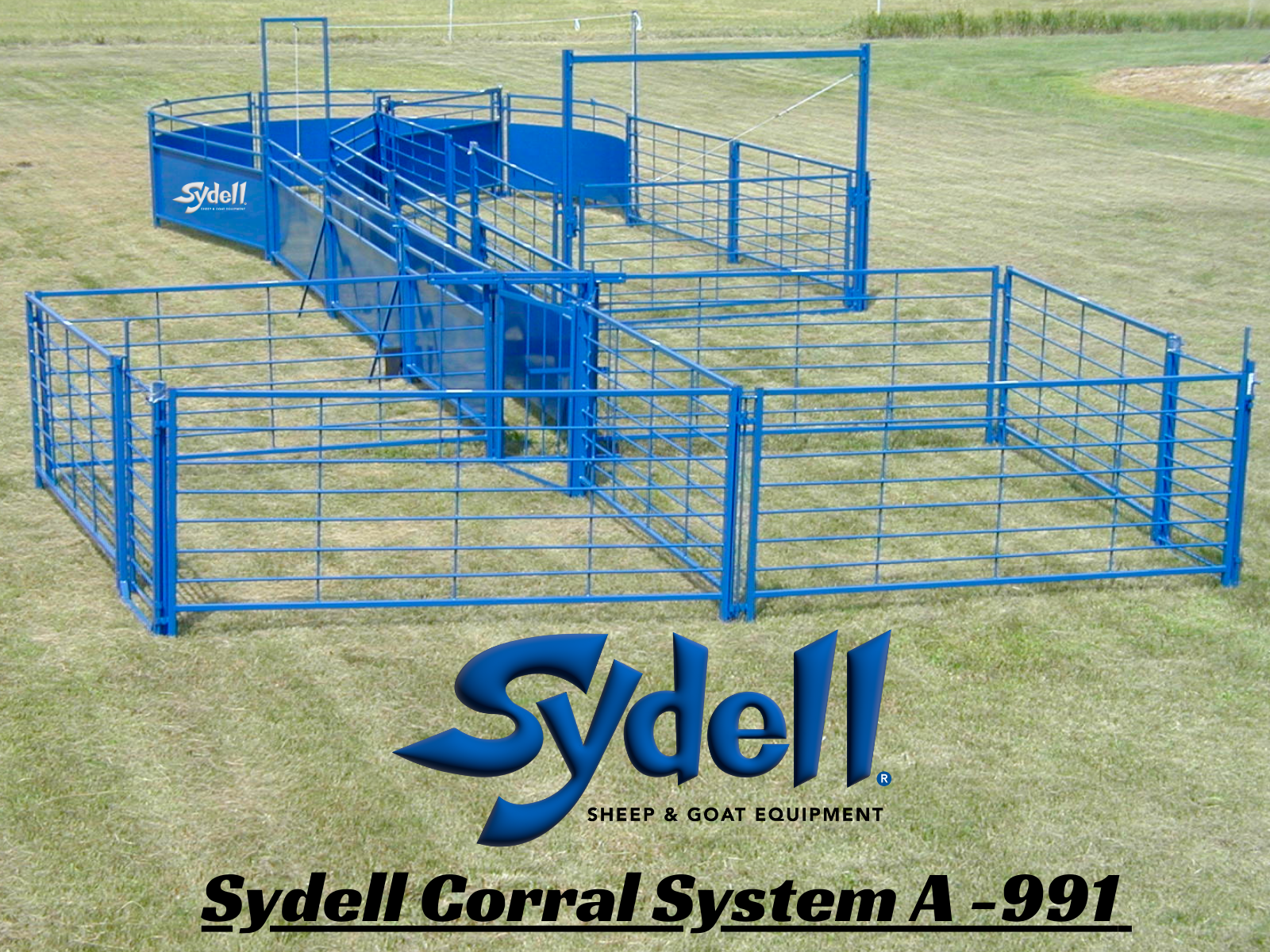 Stable Working System Sheep & Goat Working Stock Equipment | Handling & Management | Sydell ...