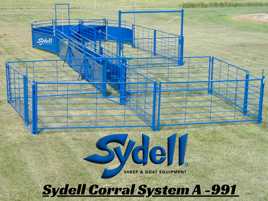 System A Working System (991)