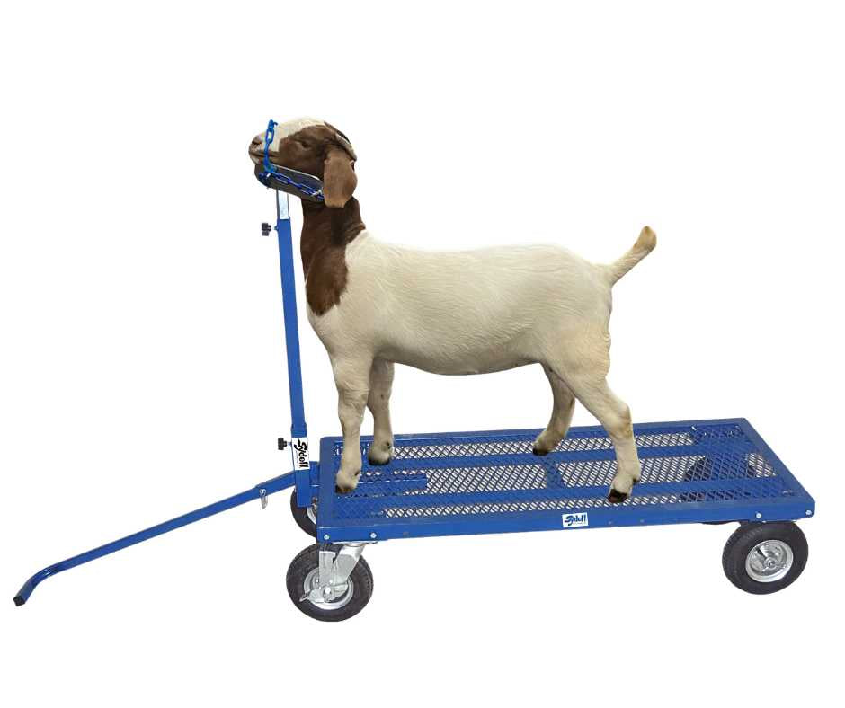 E.Z. Rider Wash Cart for Sheep & Goats | Sydell #0785ERN