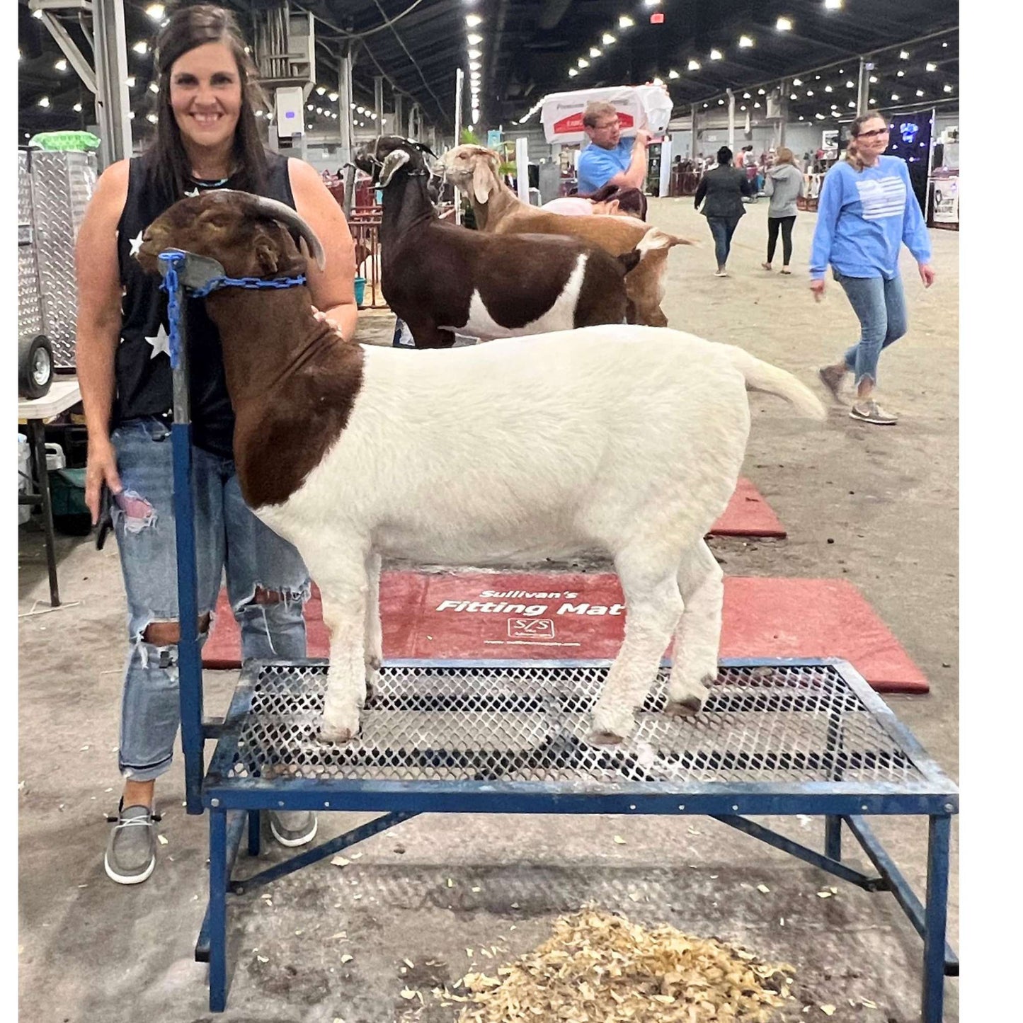 Fold-Up Fitting Stand for Sheep & Goats | Sydell #0705 / #AL0745
