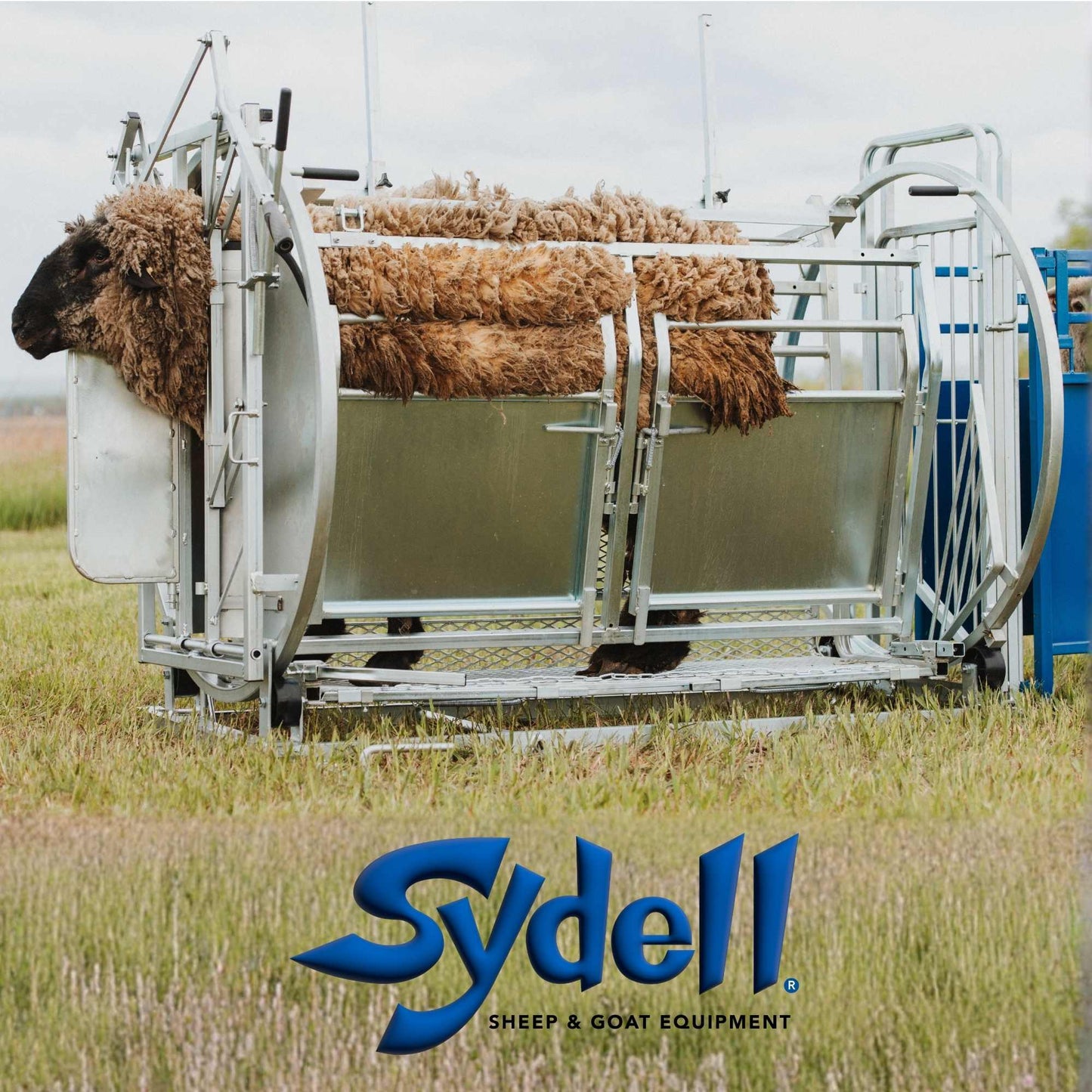Deluxe Spin Doctor Sheep & Goat Hoof Trimming | Sydell  0938