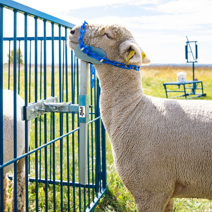 Portable Panel Mount Head Holder for Sheep & Goats | Sydell #0729