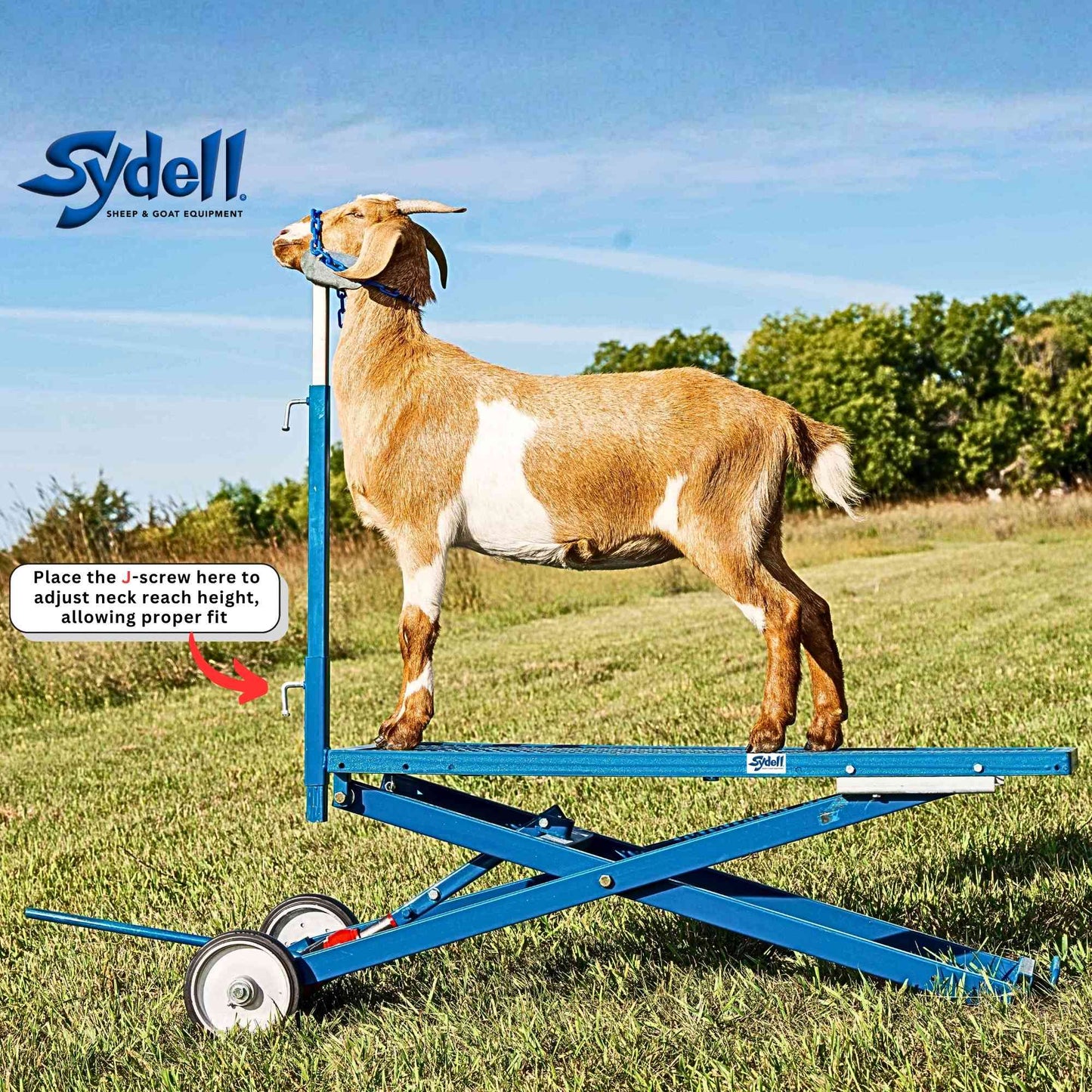 Hydraulic Stand for Sheep & Goats | Sydell #0780