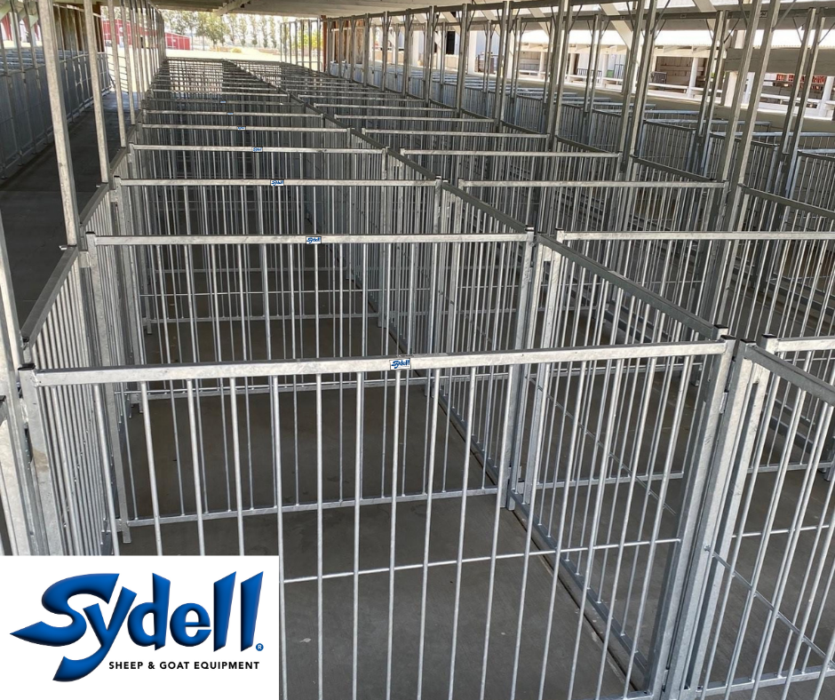 Sydell Multi-Species Livestock Vertical Fair Show Pen Panels - for Sheep, Goats, Pigs & More | 4', 5' & 6' Widths | Additional Sizes & Galvanizing A